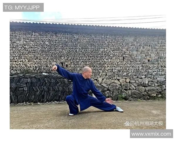 《武术之道：从传统技艺到现代武术文化的传承与发展》