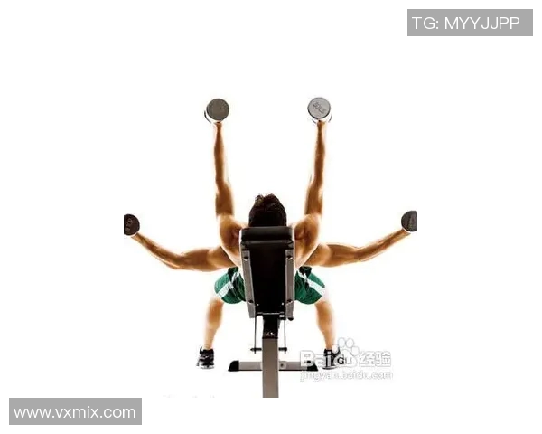 练胸肌用什么健身器材？：专为胸部肌肉训练的器材推荐